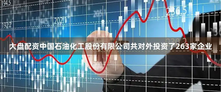 大盘配资中国石油化工股份有限公司共对外投资了263家企业