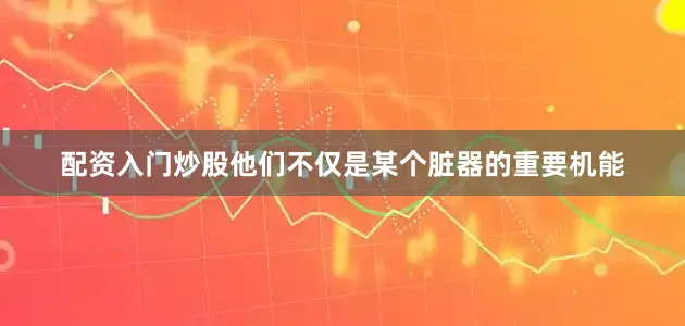 配资入门炒股他们不仅是某个脏器的重要机能